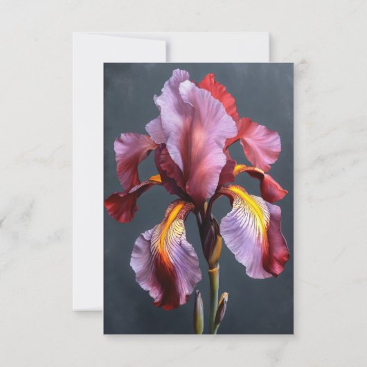 INVITETION KAART (Achterkant)