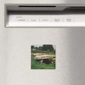 Invoering van de hypoglykemie magneet (Insitu (Vaatwasser))