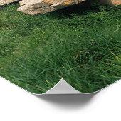 Invoering van de hypoglykemie poster (Hoek)