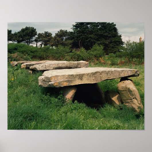 Invoering van de hypoglykemie poster (Voorkant)