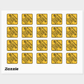 Invoering van de Melodeon Zone Vierkante Sticker (Vel)