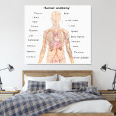 Inwendige organen Anatomiegrafiek menselijk lichaa Canvas Afdruk (Insitu (Slaapkamer))