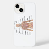 Inwendige organen Anatomiegrafiek menselijk lichaa Case-Mate iPhone Case (Achterkant)