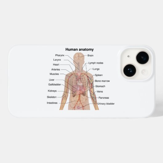 Inwendige organen Anatomiegrafiek menselijk lichaa Case-Mate iPhone Case (Achterkant (horizontaal))