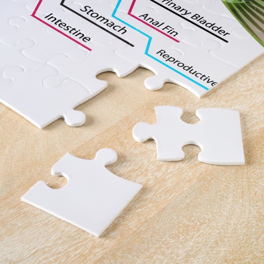 Inwendige organen Vector Kunstdiagram Anatomie Legpuzzel (Zijkant)