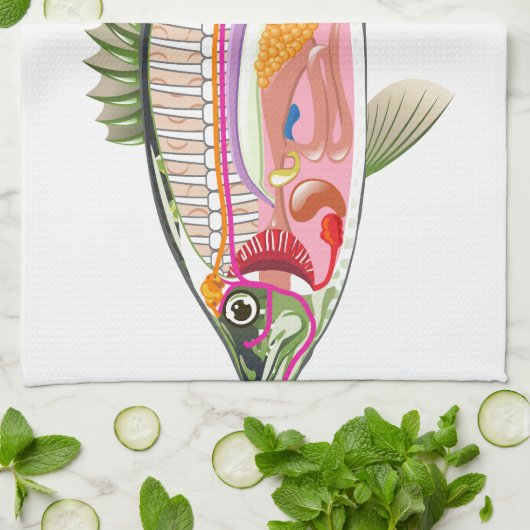 Inwendige organen Vector Kunstdiagram Anatomie Theedoek (Gevouwen)