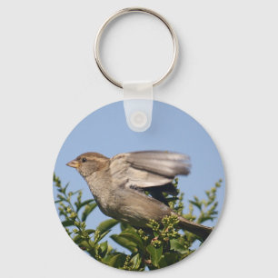 Inwerkingtreding Sleutelhanger