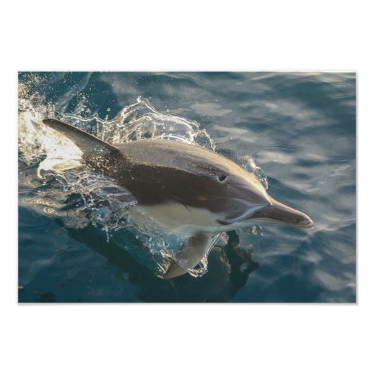 Inwoner Rider Foto Afdruk (Voorkant)