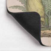 Inwoners van Paaseiland Muismat (Hoek)