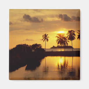 Inxtapa Sunset Magneet