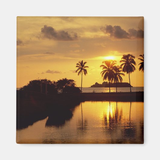 Inxtapa Sunset Magneet (Voorkant)