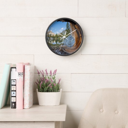 Inyo National Forest (Leeskamer)