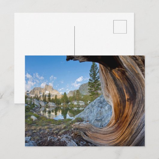 Inyo National Forest Briefkaart (Voorkant / Achterkant)