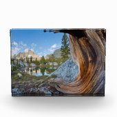 Inyo National Forest, Californië Fotoblokken (Voorkant)