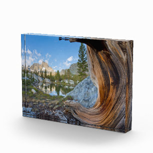 Inyo National Forest, Californië Fotoblokken