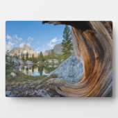Inyo National Forest, Californië Fotoplaat (voorkant)