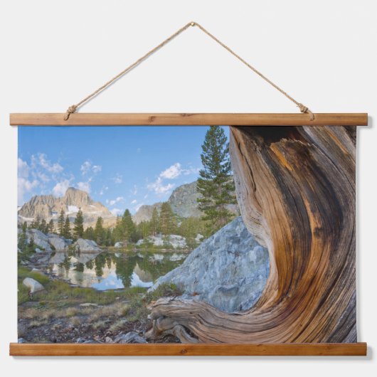 Inyo National Forest, Californië Hangend Wandkleed (Voorkant)