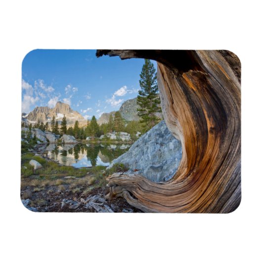 Inyo National Forest, Californië Magneet (Horizontaal)