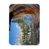 Inyo National Forest, Californië Magneet (Verticaal)