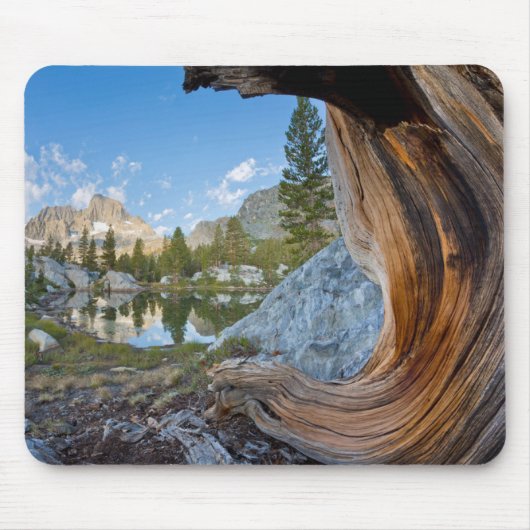 Inyo National Forest, Californië Muismat (Voorkant)