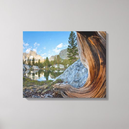 Inyo National Forest Canvas Afdruk (Voorkant)
