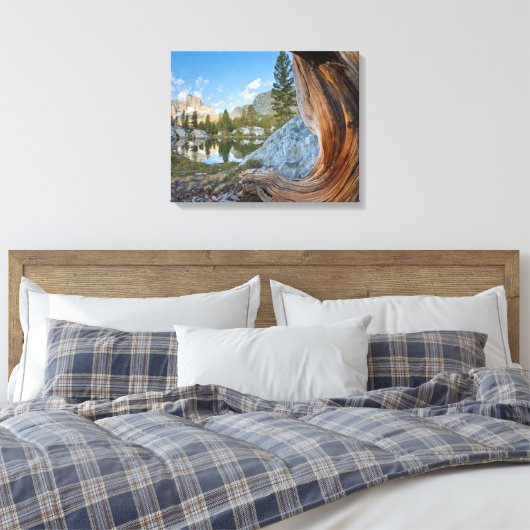 Inyo National Forest Canvas Afdruk (Insitu (Slaapkamer))