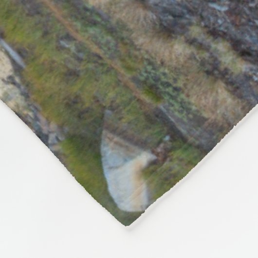 Inyo National Forest Fleece Deken (Hoek)