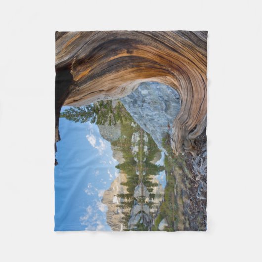 Inyo National Forest Fleece Deken (Voorkant)