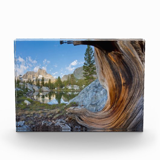 Inyo National Forest Fotoblokken (Voorkant)