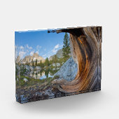 Inyo National Forest Fotoblokken (Links)