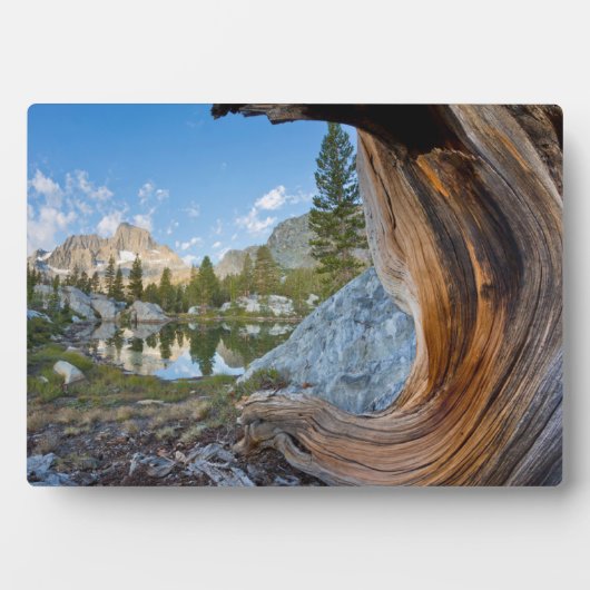 Inyo National Forest Fotoplaat (voorkant)