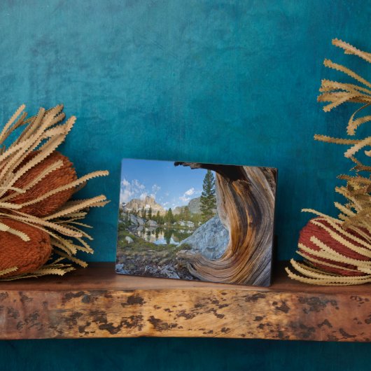 Inyo National Forest Fotoplaat (Zijkant)