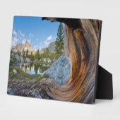 Inyo National Forest Fotoplaat (Zijkant)