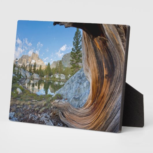 Inyo National Forest Fotoplaat (Zijkant)