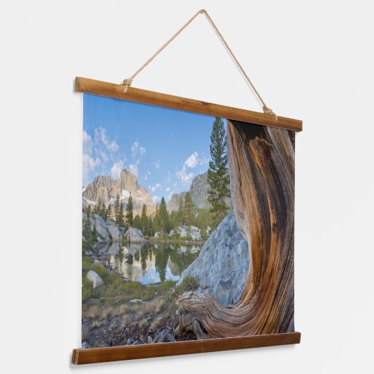 Inyo National Forest Hangend Wandkleed (Gebogen)
