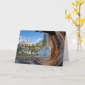 Inyo National Forest Kaart (Gele Bloem)