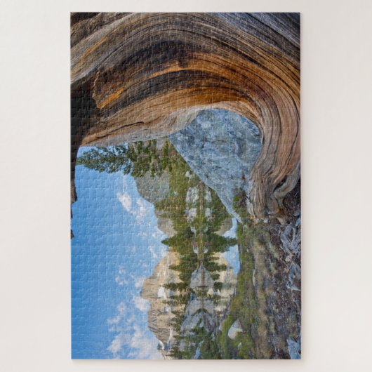 Inyo National Forest Legpuzzel (Verticaal)