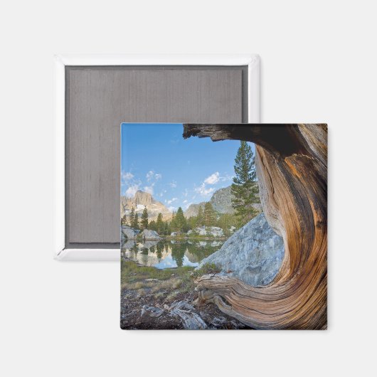 Inyo National Forest Magneet (Voorkant / Achterkant)