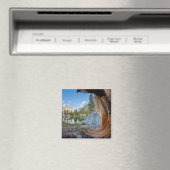 Inyo National Forest Magneet (Insitu (Vaatwasser))