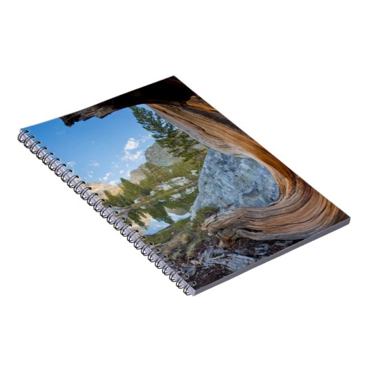 Inyo National Forest Notitieboek (Rechterzijde)