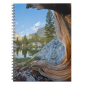 Inyo National Forest Notitieboek (Voorkant)