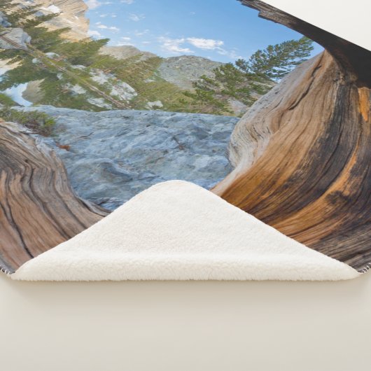 Inyo National Forest Sherpa Deken (3/4)