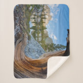 Inyo National Forest Sherpa Deken (Voorkant)