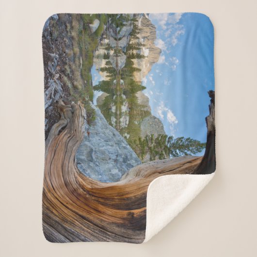 Inyo National Forest Sherpa Deken (Voorkant)