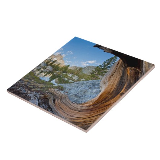 Inyo National Forest Tegeltje (Zijkant)