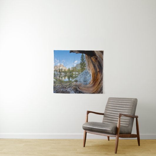 Inyo National Forest Wandkleed (In Situ (horizontaal))