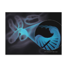 Inzoomen van een DNA-streng in een chromosoom