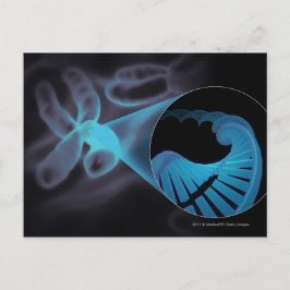 Inzoomen van een DNA-streng in een chromosoom Briefkaart