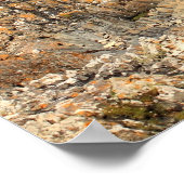 Iona, Schots eiland, prachtige rotsachtige kuststr Poster (Hoek)