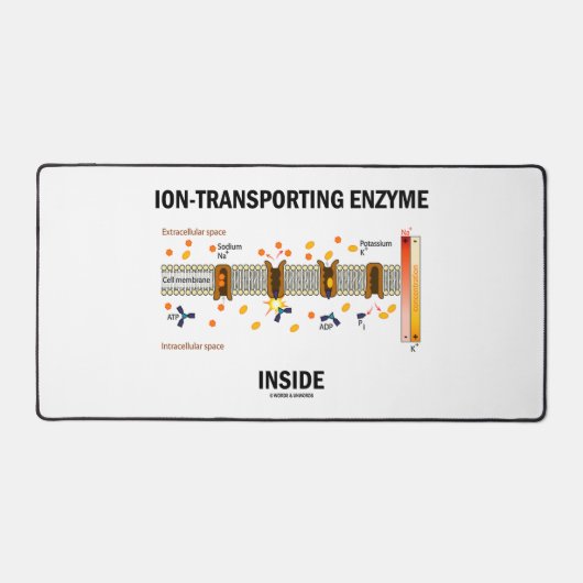 ionenvervoermiddel in actief vervoer bureaumat (Voorkant)